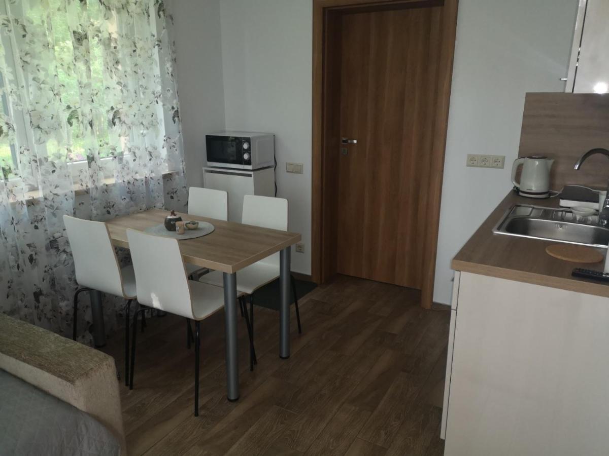 Kristinos Apartment Druskininkai Kültér fotó