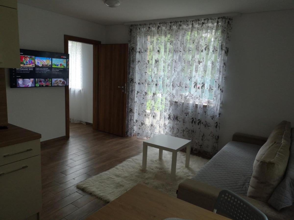 Kristinos Apartment Druskininkai Kültér fotó