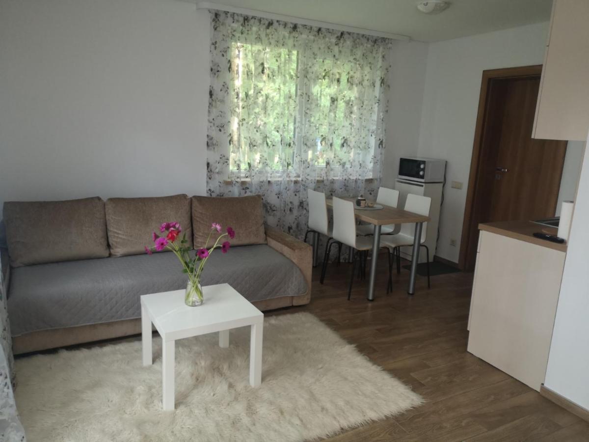 Kristinos Apartment Druskininkai Kültér fotó
