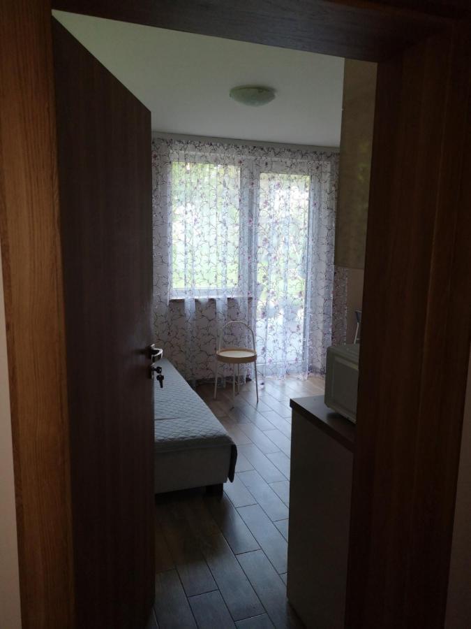 Kristinos Apartment Druskininkai Kültér fotó