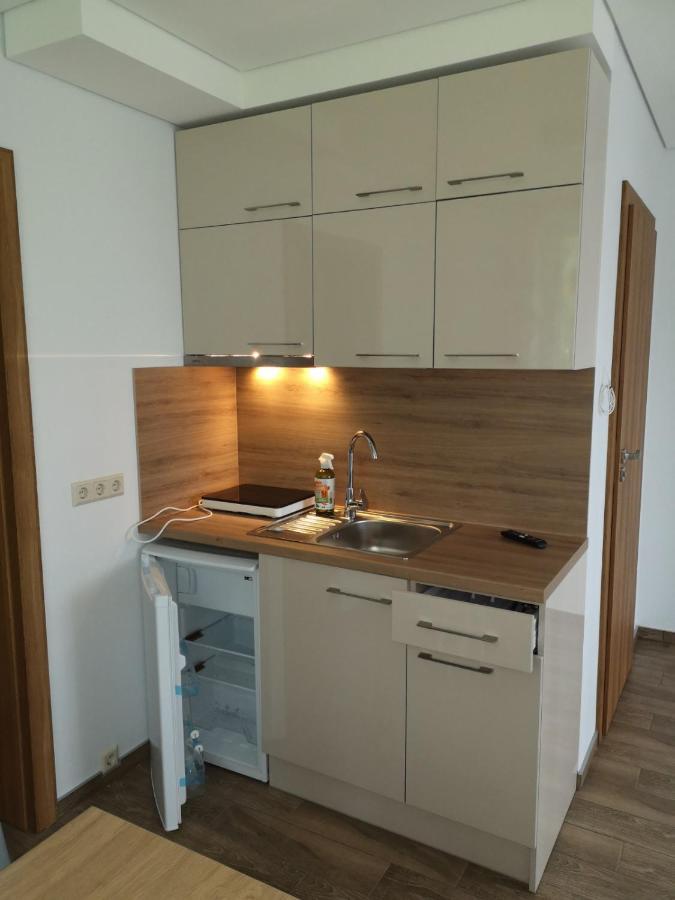 Kristinos Apartment Druskininkai Kültér fotó