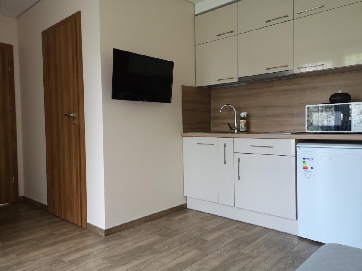 Kristinos Apartment Druskininkai Kültér fotó