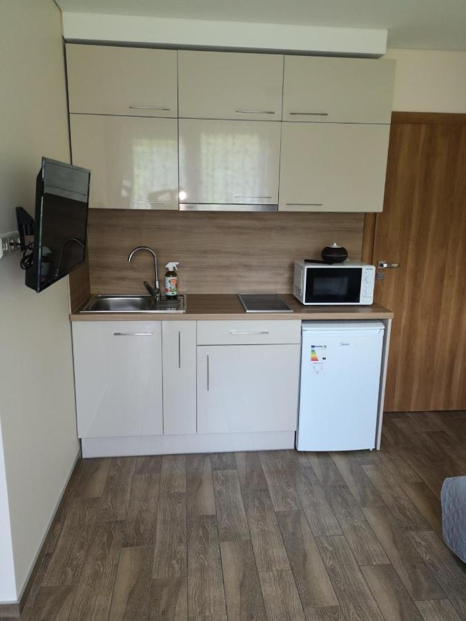 Kristinos Apartment Druskininkai Kültér fotó