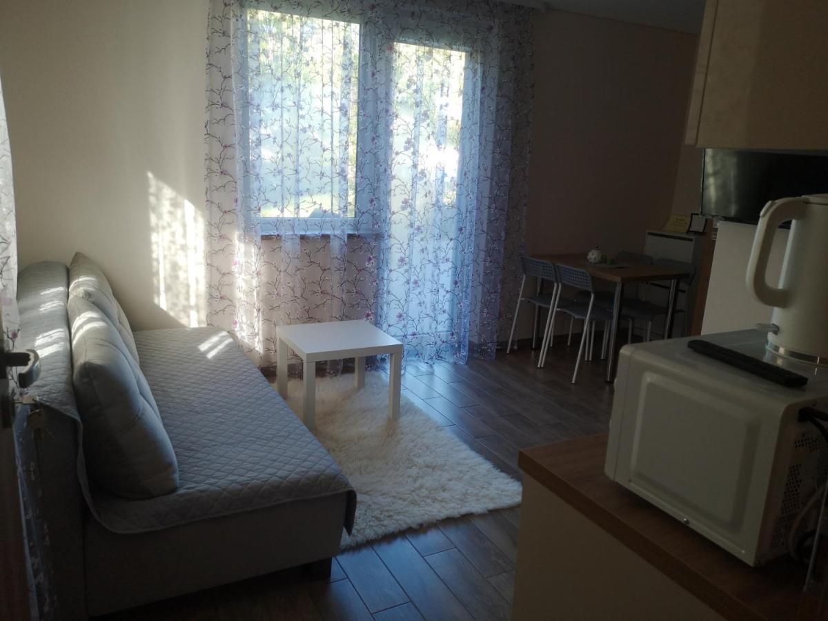 Kristinos Apartment Druskininkai Kültér fotó