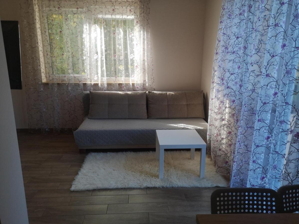 Kristinos Apartment Druskininkai Kültér fotó